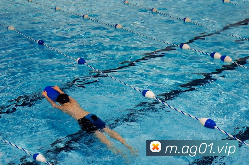 ag官网APP 封面图